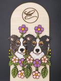 Bordercollie